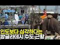 Download Lagu 마치 1970년대 우리나라 산업화 풍경 세계 최대의 혼돈의 도시｜전세계 인구밀도 끝판왕 방글라데시 다카에서 꿈을 찾는 사람들 다카드림｜다큐프라임｜#골라듄다큐