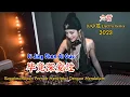 Download Lagu 六哲 - 毕竟深爱过 - Bi Jing Shen Ai Guo - (DJ小龙 Electro Remix 2023) #dj抖音版2023