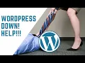 Why WordPress Website Crashed - Most common problems