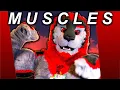MUSCLE FURRY TOP TEN
