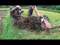 Akibat Traktor Sawah kurang air