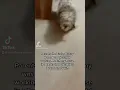 If Your Kid Says The Easter Bunny Is Not Real Here Is Proof To Show