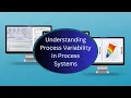 Understanding Process Variability in Process Manufacturing Systems