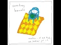 Pedestrian at Best - Courtney Barnett