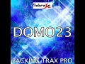 Domo23 (Karaoke Version) (Originally Performed by Tyler The Creator)