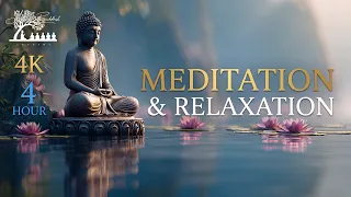 Lotus Pond Buddha | Peaceful Zen Ambience with Calming Music for Serenity & Meditation