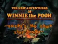 Download Lagu The New Adventures of Winnie the Pooh Volume 4 There's No Camp Like Home Intervals