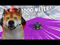 Download Lagu MENCOBA MENCARI JALUR EXTREM PALING MENANTANG!! - GTA 5 Indonesia