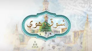                                                   هادي صقر   شوق و هوى دندنها