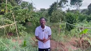                     دندنها