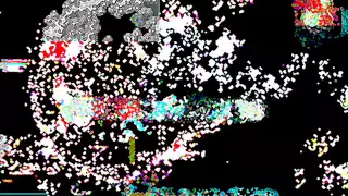 pachanga boys black naga