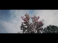 世界を終わらせて / ハルカミライ（弾き語りcover）