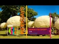 Download Lagu CBBC - Shaun the Sheep Promo (2016)