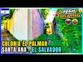 Download Lagu 🌟Colonia El Palmar Santa Ana El Salvador, Pasaje VENEZUELA