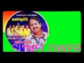 Download Lagu sunflower with kumarasiri pathirana