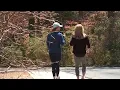 Metro Atlanta pollen count numbers surge to seasonal high