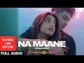 Na Maane (SLOWED PLUS REVERB): Aryan Katoch  | Xtan Nick | New song 2023 | New Panjabi song 2023
