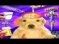 MEMES THAT CURE BRAINROT