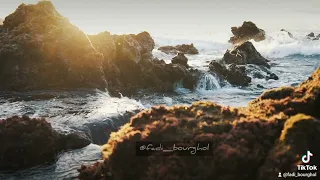 قصيدة الاب ابويا كفوف تشيل ما تميل فارس قطرية  فارس قطريه  فارس قطرية دندنها