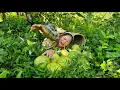 Download Lagu Als Nhan weg is: het zoete en grappige verhaal tussen schoonmoeder en Phuc Ha