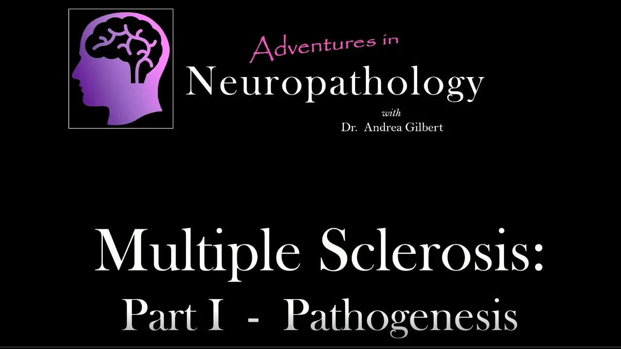 Multiple Sclerosis Part I : Pathogenesis - Adventures in Neuropathology