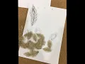The Making of CATRIONA GRAY's Mak Tumang "ADARNA GOWN"