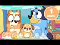 Bluey and Bingo Games in the Heeler House 90 MINUTES Bingo - Channel