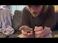 Versus STRAIN REVIEW BC God Bud TRASH