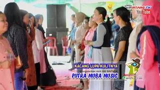 Download Putra muba music Terbaru, kacang lupa kulit nya - ine sinthya, dayung, Bintang TV MP3