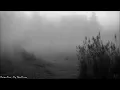 Brian Eno - By This River
