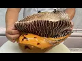 sea snail 5kg Vn Chef