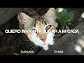 Christell  - Dubidubidu (Lyric Video) | CantoYo