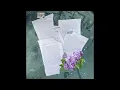 sace6 - lilac