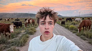 i ran away to the wilderness