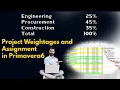 How to assign Project Weightages in Primavera p6