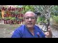 Download Lagu Ar Damarı Olmayan Türk Erkekleri
