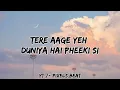 Mera Naam Tu (Lyrics) From - Zero Abhay Jodhpurkar | Shahrukh Khan | @Pixels_beat