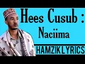 XARIIR AXMED HEES CUSUB NACIIMA 2020