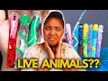 Download Lagu Nail Tech Encapsulates LIVE ANIMALS into Set