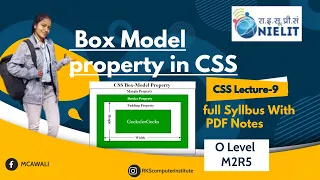 CSS Tutorial CSS Box Model Margin and Padding Web Development Tutorials
