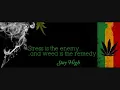 Dubblestandart Chase The Devil ft Lee Scratch Perry Adrian She ..video by Nick Tops