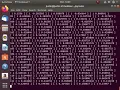 CS 206 Assignment 9 Genetic Algorithm