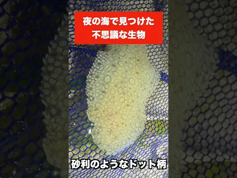 かわいすぎて毒