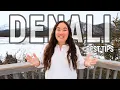 Best Tips to Visit Denali National Park Where to Stay