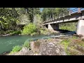 Fall Creek Oregon Trout Stocking 2026 When Where Trout Are Released