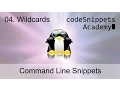 Command Line Tutorial 04 Wildcards classes