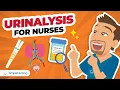 Urinalysis for Nurses NCLEX Lab Values Made Simple