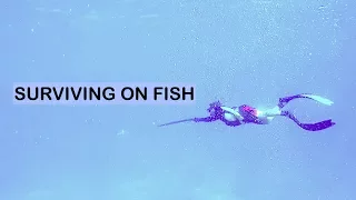 33. Sailorama: Surviving On Fish