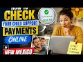 How to check your child support payments online in New Mexico
