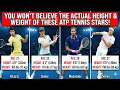 What Is the Height Weight Age of ATP Tennis Players You Won t Believe
